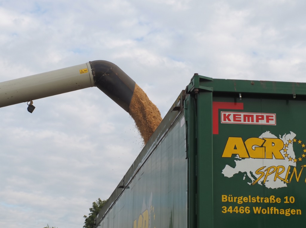 Getreidebeladung in einen Agrosprinter Auflieger – Die Gründung 2014